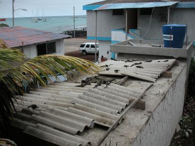 Marine iguanas on the rooftops