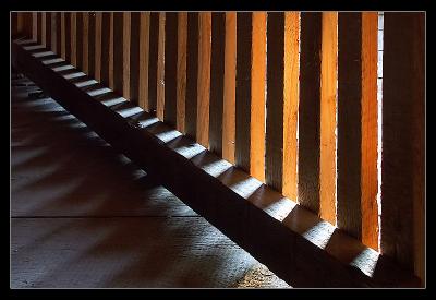 Wooden Shadows by Fritz Kurt