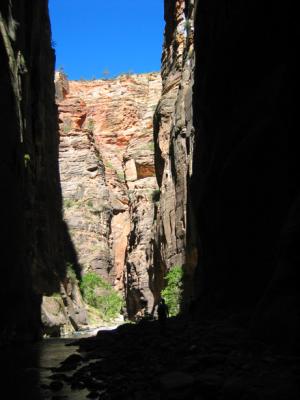 Canyon Walls