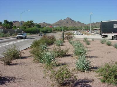 Shea Boulevard