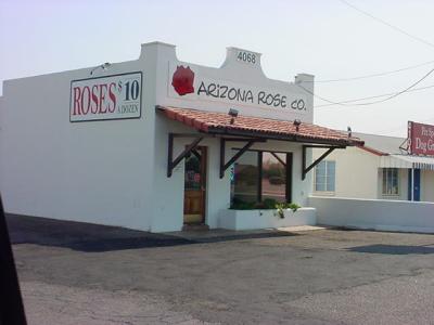 a single red rose for Tarina today Arizona Rose Company