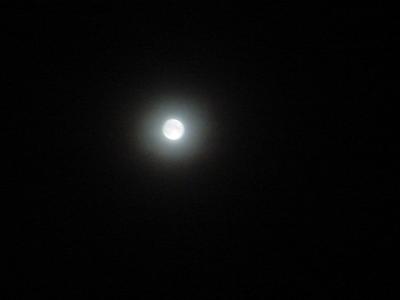 the full moon more light than the half moon on Feb 21 2003