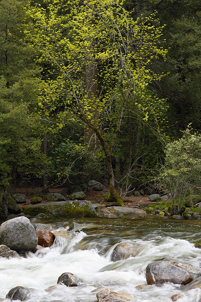 Cascades, Happy Isles