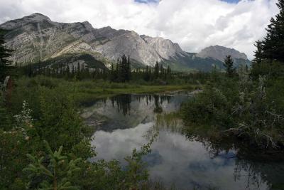 Many Springs Pond