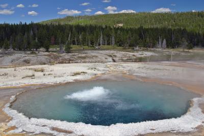 Old Faithful Area
