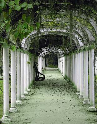 Botanic Garden in Rio *