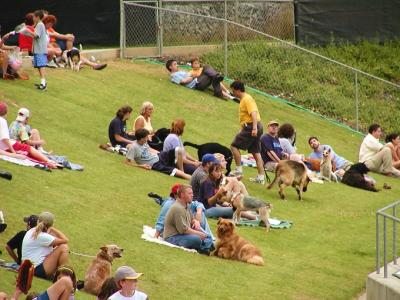 JPG a fans dogs P6300364.jpg