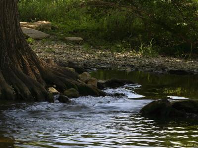 Cibolo Creek Flowing