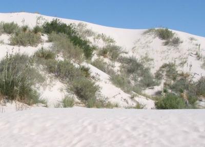 NM - White Sands