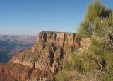 at Grand Canyon