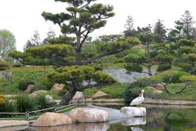 u30/rn65/medium/19060214.Japanesegarden4.jpg