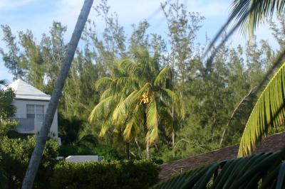 A view from our front door at PIBC