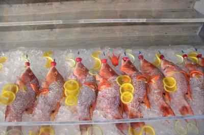Hogfish were the special that night. Delicious!