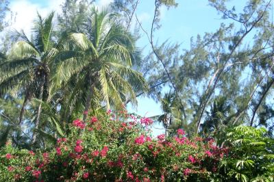Another view from our condo unit