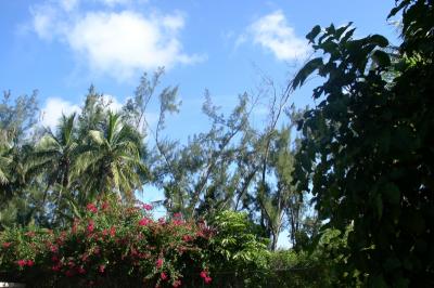 Another view from our condo unit