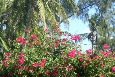Another view from our condo unit