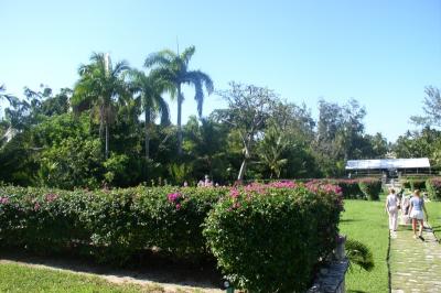 Gardens at the Cloisters