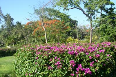 Gardens at the Cloisters