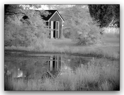 Shed for Ducklings