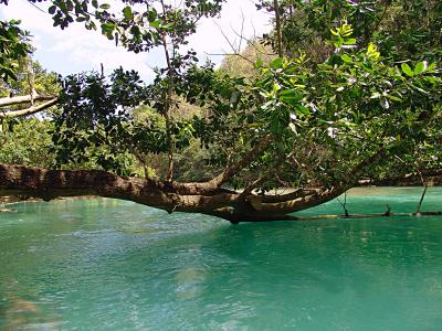 Around Sabang Underground River