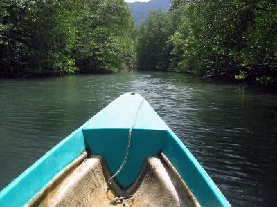Sailing down the wonderful Mangrove River in Sabang