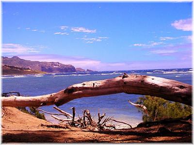 Maui Beach