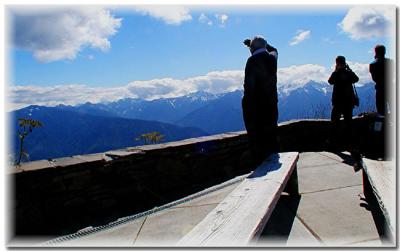 Looking out_ Hurricane Ridge