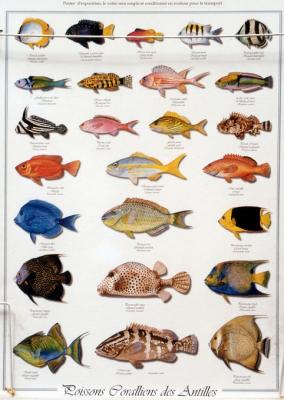 Image-100.jpg