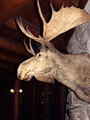 Adirondack League Club