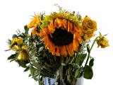 Dead Flowers 2