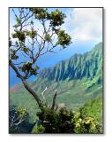 <b>Na Pali Coast</b><br><font size=2>Kalalau Lookout, Kauai