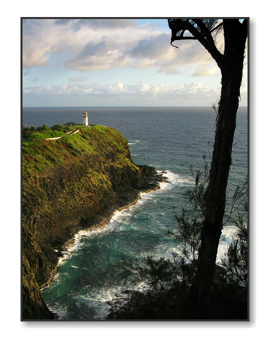 Kilauea LighthouseKilauea Point, Kauai