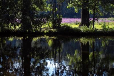 The Saale at Porstendorf