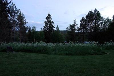 139_3970.jpg