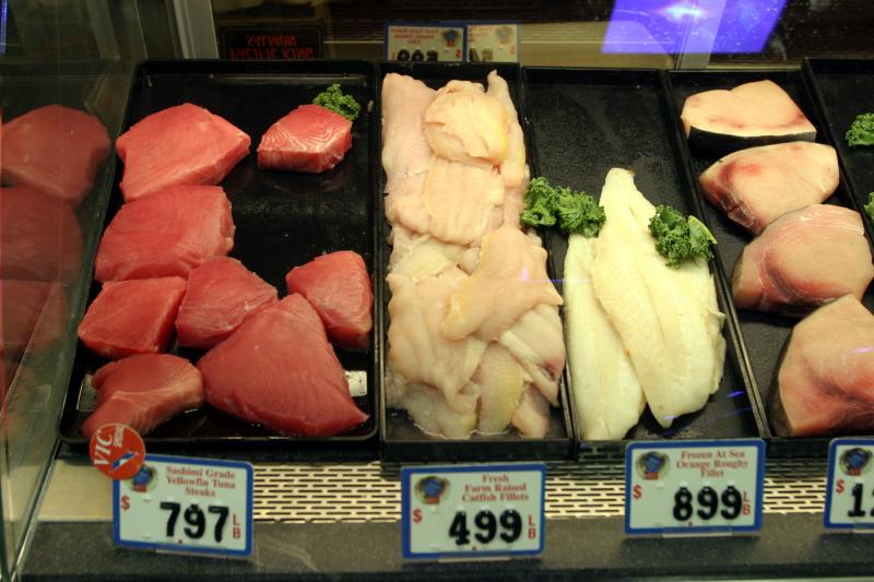 fish
