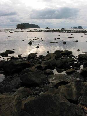 Looking northwest from the beach