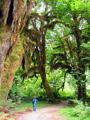 Carol examining the trees near the visitor center