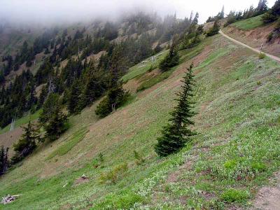 The trail into the clouds