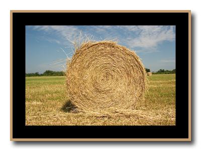 Raw_Straw