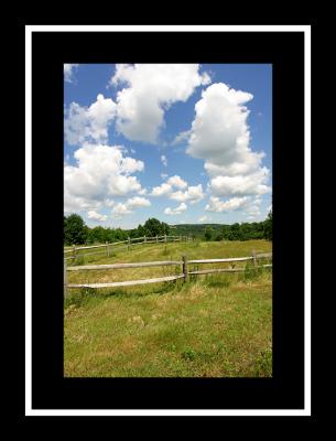Fence_N_Sky