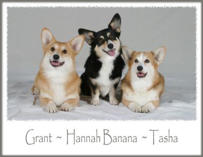 Grant, Hannah Banana & Tasha