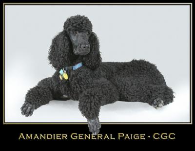 Paige & Xander
