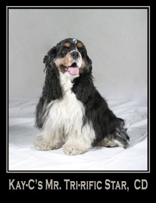 Barney