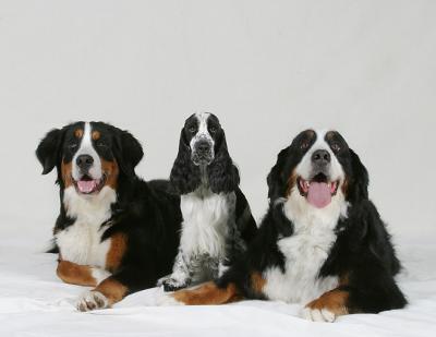 Merly, Petra  &  Niah