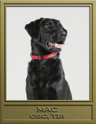 DMerritts4frame.jpg
