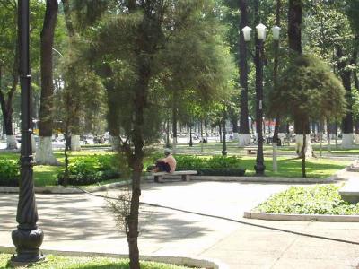 They're quite obsessed with painting the trees white