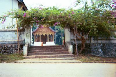 Temple, flowers, monks