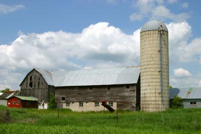 Country Living.jpg