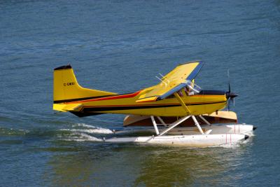 u30/ssim/medium/18266306.FloatPlane.jpg