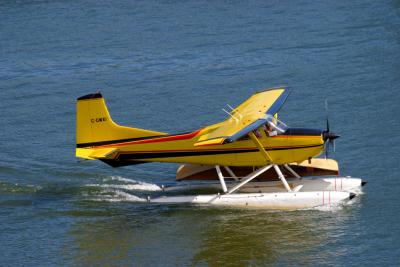 Float Plane.jpg